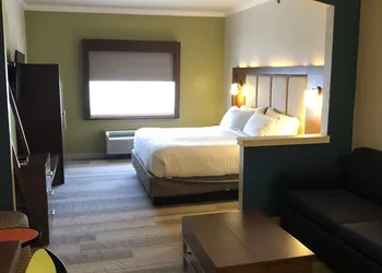 Holiday Inn Express Hotel & Suites Greenville by IHG hotel thumbnail 8