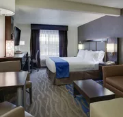 Holiday Inn Express Hotel & Suites Meadowlands Area by IHG hotel detail image 7