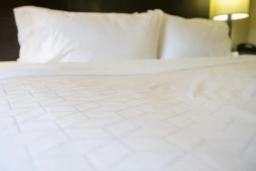 Holiday Inn Express Hotel & Suites Pittsburgh Airport by IHG hotel detail image 6