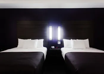 Palacio Royale Inn Boutique Katy hotel thumbnail 7