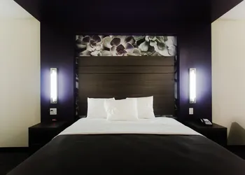 Palacio Royale Inn Boutique Katy hotel thumbnail 8