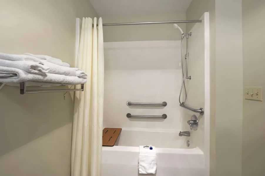 Microtel Inn & Suites by Wyndham Ponchatoula/Hammond hotel detail image 6