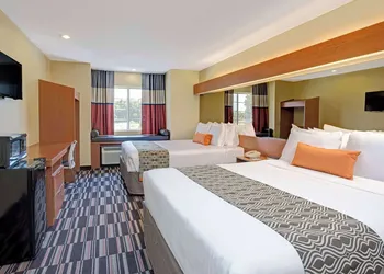 Microtel Inn & Suites by Wyndham Bushnell hotel thumbnail 7