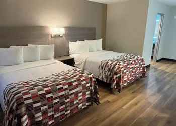 Red Roof Inn Kokomo hotel thumbnail 6