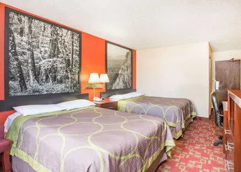Super 8 by Wyndham Harrisonburg hotel thumbnail 5