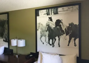 Super 8 by Wyndham Amsterdam hotel thumbnail 7