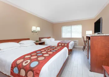 Super 8 by Wyndham Owensboro hotel thumbnail 7