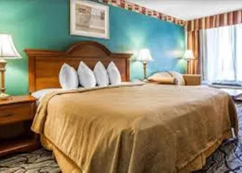 Baymont by Wyndham Walterboro hotel thumbnail 4