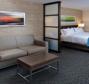 Holiday Inn Hotel & Suites Edmonton Airport & Conference Ctr by IHG hotel detail image 3
