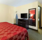 Econo Lodge Inn & Suites Clearwater Central hotel detail image 7