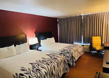 Lubbock Regency Inn hotel thumbnail 3