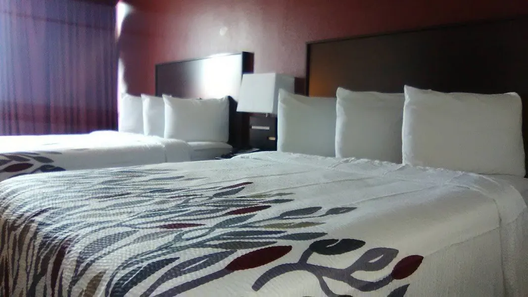 Lubbock Regency Inn hotel detail image 2
