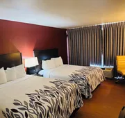 Lubbock Regency Inn hotel detail image 3