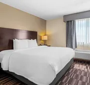 Best Western University Inn hotel detail image 7