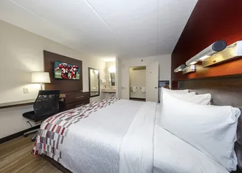 Red Roof Inn Tampa - Brandon hotel thumbnail 4