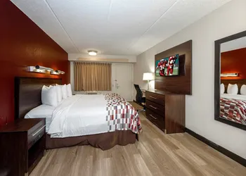 Red Roof Inn Tampa - Brandon hotel thumbnail 8