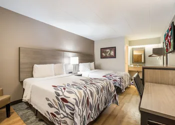 Red Roof Inn Lansing West - MSU hotel thumbnail 6