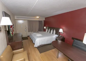 Red Roof Inn PLUS+ University at Buffalo - Amherst hotel thumbnail 6