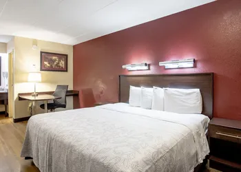 Red Roof Inn PLUS+ University at Buffalo - Amherst hotel thumbnail 8