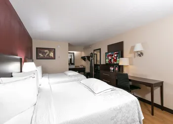 Red Roof Inn PLUS+ Columbus - Dublin hotel thumbnail 6
