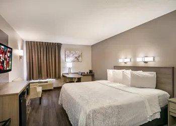 Red Roof Inn PLUS+ Boston - Logan hotel thumbnail 6