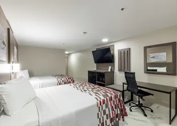 Red Roof Inn Pharr - McAllen hotel thumbnail 7