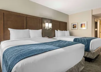 Comfort Inn & Suites Downtown Brickell - Port of Miami hotel thumbnail 6