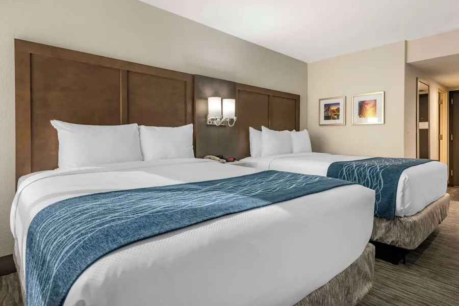 Comfort Inn & Suites Downtown Brickell - Port of Miami hotel detail image 6