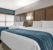 Comfort Inn & Suites Downtown Brickell - Port of Miami hotel detail image 7
