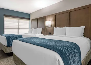 Comfort Inn & Suites Downtown Brickell - Port of Miami hotel thumbnail 7