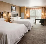Sheraton Sioux Falls Hotel & Convention Center hotel detail image 7