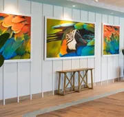 Margaritaville Beach Resort South Padre Island hotel detail image 3