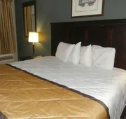 Americas Best Value Inn Athens, GA hotel detail image 5