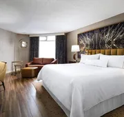 The Westin Toronto Airport hotel detail image 5