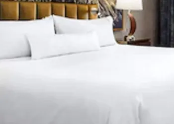 The Westin Toronto Airport hotel thumbnail 7