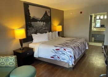 Red Roof Inn Savannah North I-95 – Port Wentworth hotel thumbnail 7