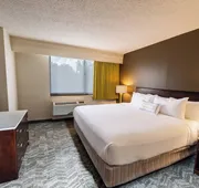SpringHill Suites Houston Medical Center/NRG Park hotel detail image 4