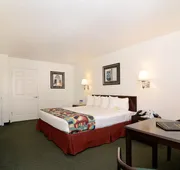 Best Western Colorado River Inn hotel detail image 5