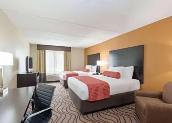 Comfort Inn & Suites Tampa North I-75 hotel thumbnail 2