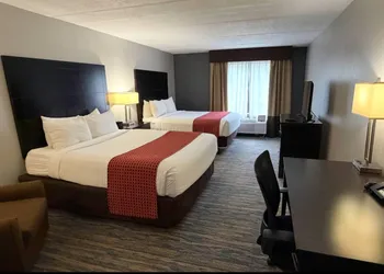 Comfort Inn & Suites Tampa North I-75 hotel thumbnail 3