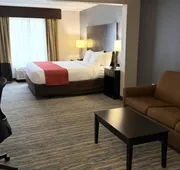 Comfort Inn & Suites Tampa North I-75 hotel detail image 5