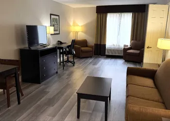 Comfort Inn & Suites Tampa North I-75 hotel thumbnail 6