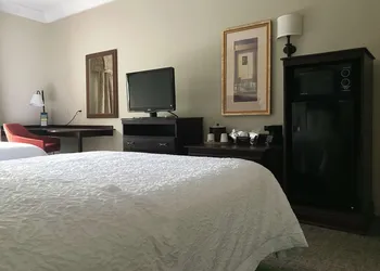 Hampton Inn Vidalia hotel thumbnail 3