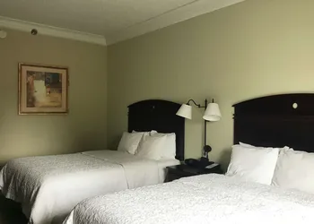 Hampton Inn Vidalia hotel thumbnail 6