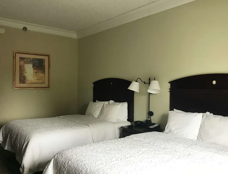 Hampton Inn Vidalia hotel detail image 6