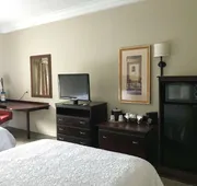 Hampton Inn Vidalia hotel detail image 7