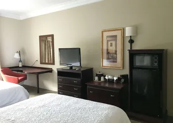 Hampton Inn Vidalia hotel thumbnail 7