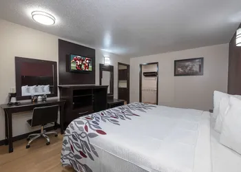 Red Roof Inn Morgan City hotel thumbnail 5