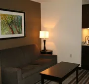 Holiday Inn Express & Suites Nevada by IHG hotel detail image 5