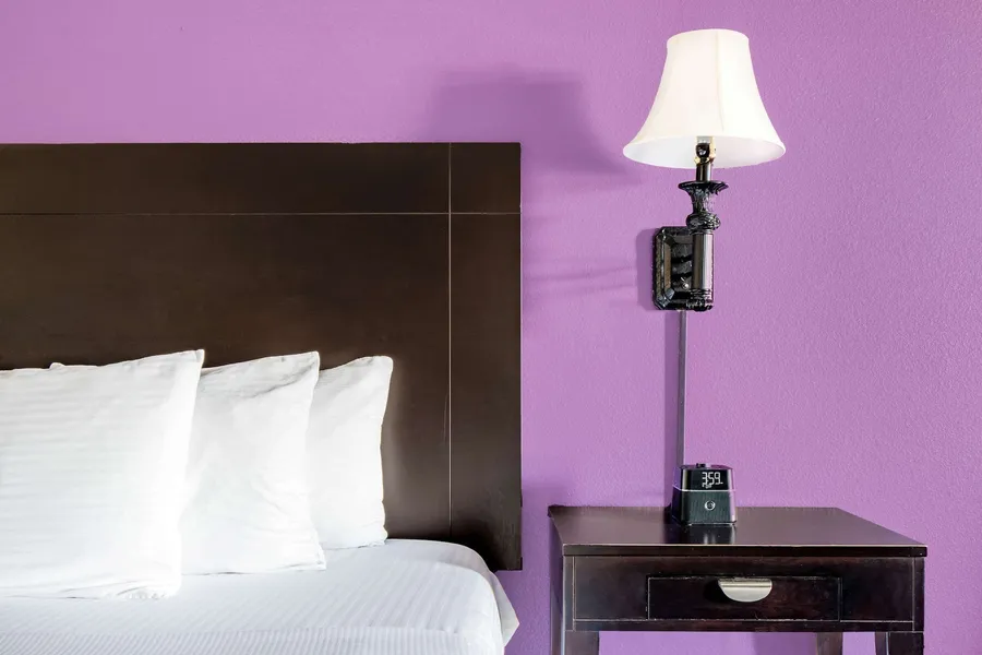 La Quinta Inn & Suites by Wyndham Alamo - McAllen East hotel detail image 6